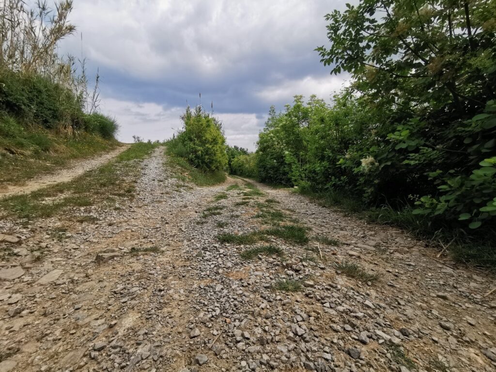 Piran Parks nature reserves: Piran – the Tartin town, Portorož - the flower town, Sečovlje salt pans, Malija – Istrian village, Šared