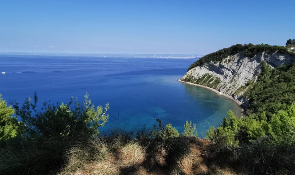 Piran Parks nature reserves: Piran – the Tartin town, Portorož - the flower town, Sečovlje salt pans, Malija – Istrian village, Šared
