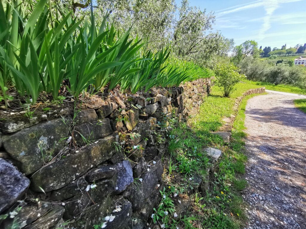 Piran Parks nature reserves: Piran – the Tartin town, Portorož - the flower town, Sečovlje salt pans, Malija – Istrian village, Šared