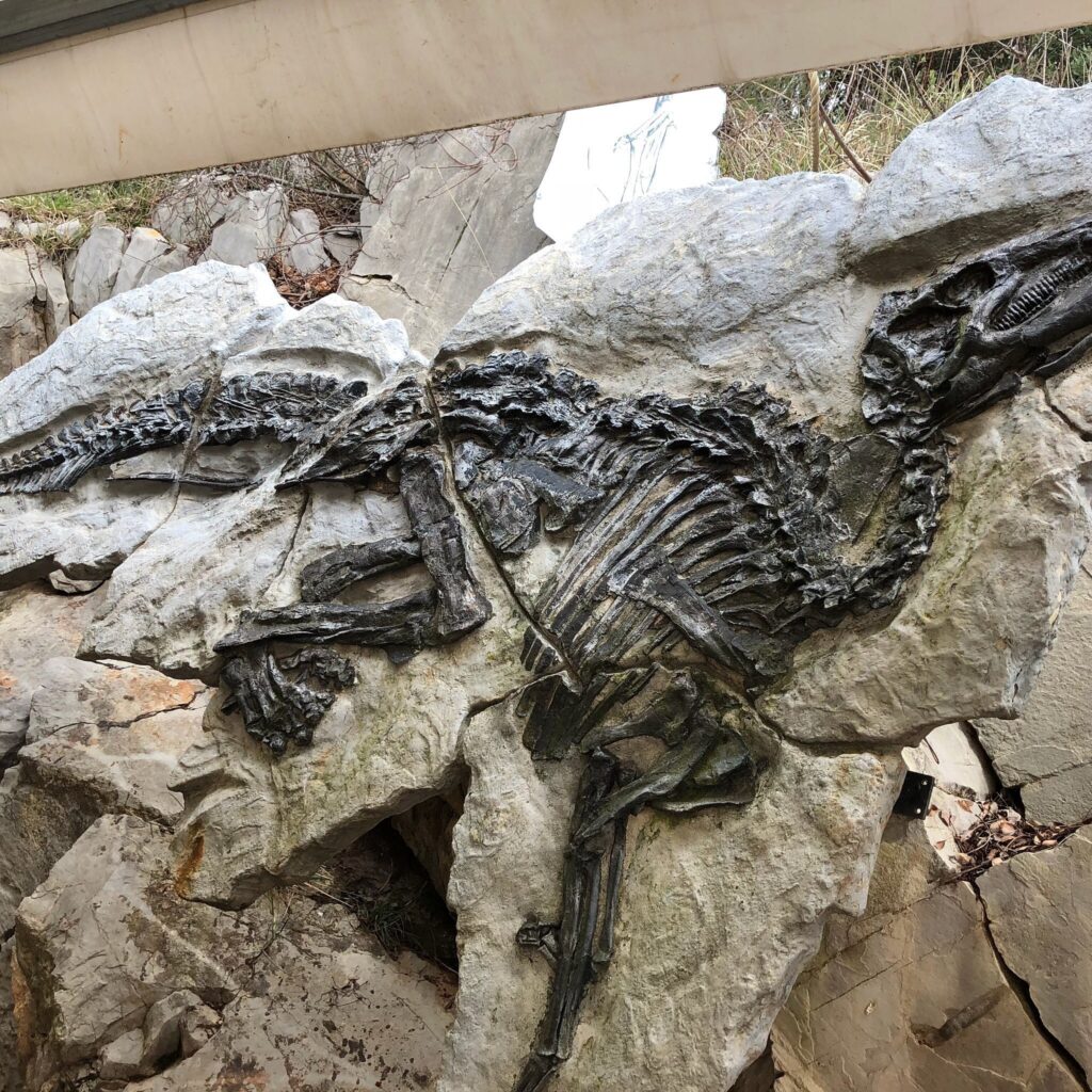 Dinosaur Antonio - Trieste, Antonio Dinosaur Paleontological Site, Località Villaggio del pescatore, Duino