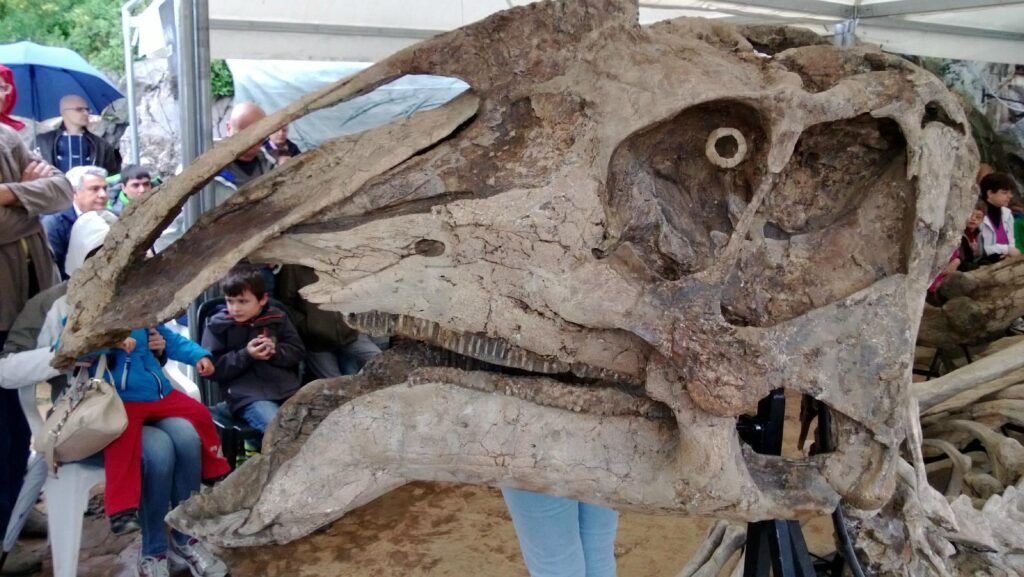 Dinosaur Antonio - Trieste, Antonio Dinosaur Paleontological Site, Località Villaggio del pescatore, Duino