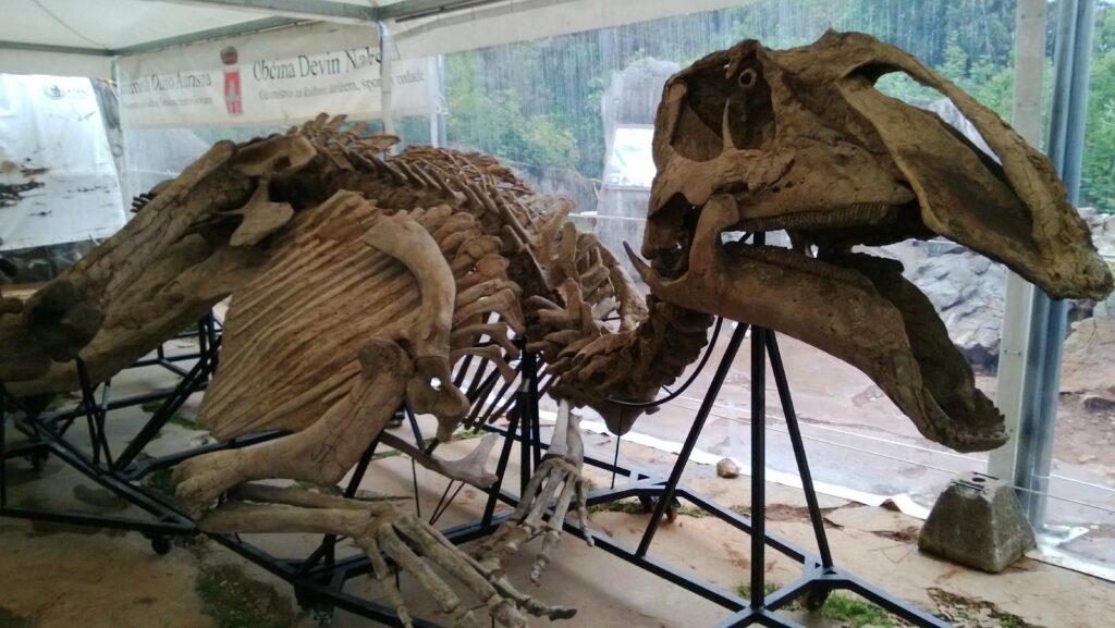 Dinosaur Antonio - Trieste, Antonio Dinosaur Paleontological Site, Località Villaggio del pescatore, Duino